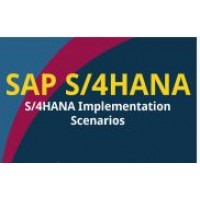 C_S4IMP_1610 SAP Certified Associate - SAP S/4HANA Implementation Scenarios for Architects